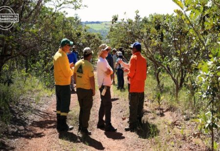 Série “Fraternidade em Ação” é relançada e apresenta projetos apoiados pelo Fundo Nacional de Solidariedade (FNS) em 2025